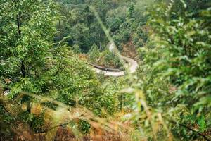 BIB: 
                            <button type="button" onclick="openModal(26297334)" class="btn btn-primary btn-sm float-right btn-popup" data-toggle="modal" data-target=".modal-high-quality">
                        <i class="fas fa-shopping-cart"></i> Add to Cart
                    </button>
                                            <button type="button" onclick="isThisMe(26297334, true)" class="btn btn-success btn-sm float-right btn-popup btn-isme hidden" data-toggle="tooltip" data-placement="bottom" title="นี่คือรูปของคุณใช่ไหม คลิกที่นี่เพื่อเอาเข้าอัลบั้ม">
                        <i class="fas fa-plus"></i> Add to album
                    </button>
                    <button type="button" onclick="isThisMe(26297334, false)" class="btn btn-warning btn-sm float-right btn-popup btn-isnotme hidden">
                        <i class="fas fa-ban"></i> Remove from album
                    </button>